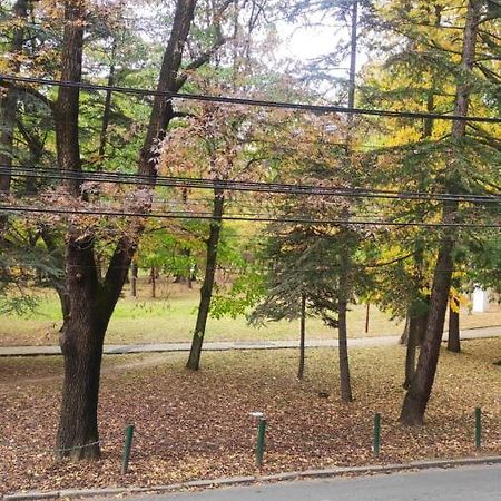 Appartamento Centar_Park Arandjelovac Esterno foto